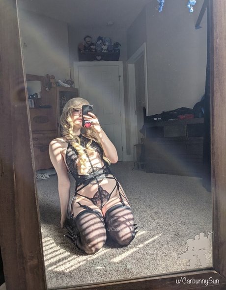 Carbunny pornographic star archive