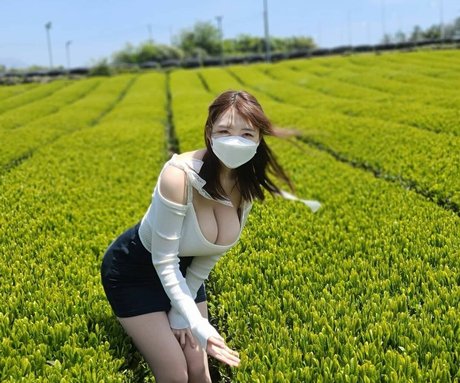 Velvet 7 art pornstar archive