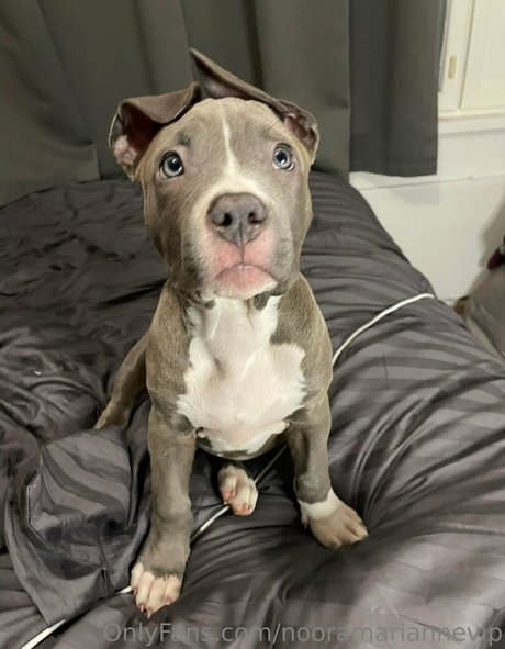 murukissa pornstar sex galleries