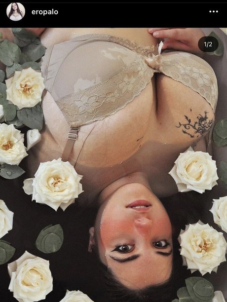 Paloma Piquet Profile pic