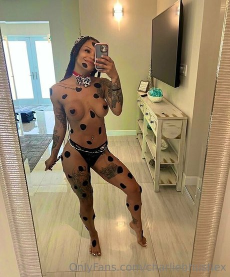 charliebhustlex model img