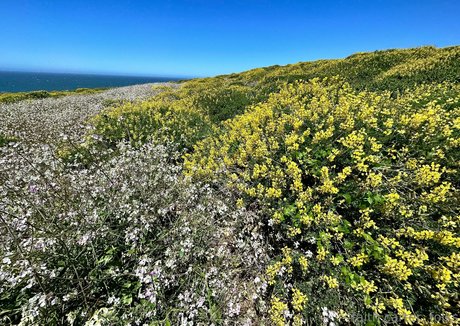 havefaithinmebabe model top pic