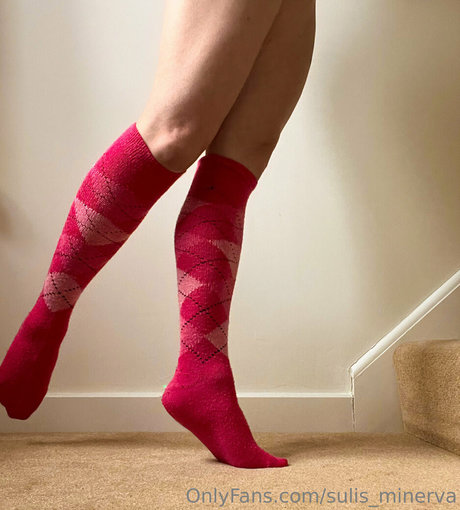 sulis minerva top model images