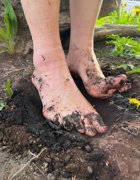 ai and0 nice star picture