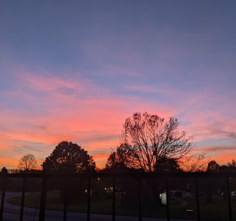 dream candy pornstar free picture