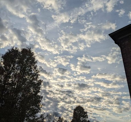 dream candy pornstar sex gallery