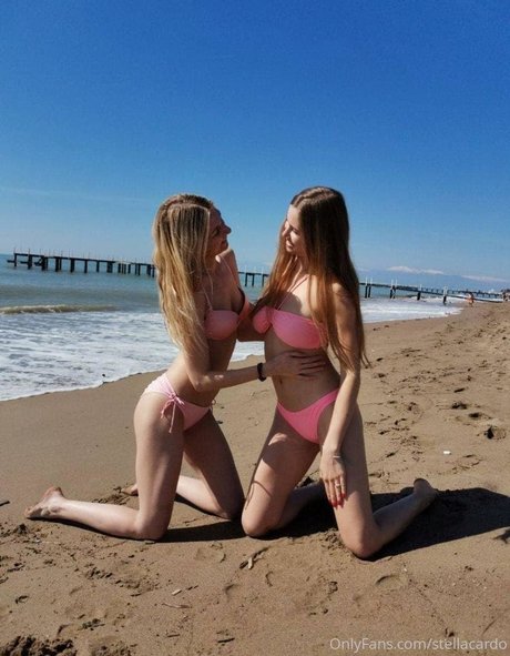 stellacardo star best pic