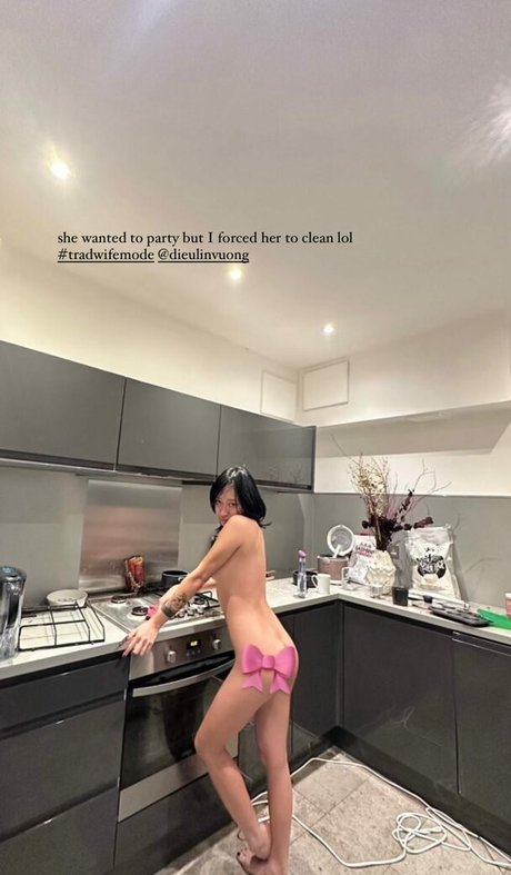 Dieu Linh Vuong star erotic picture