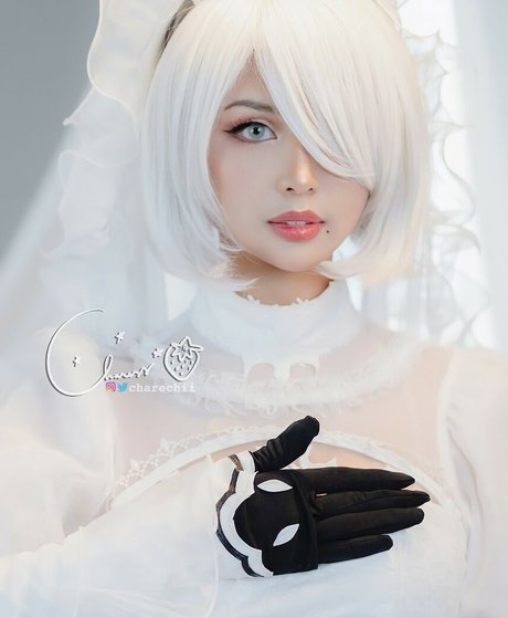 Charechii model adult photo