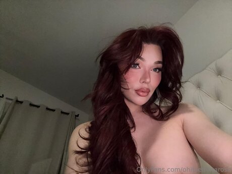 ohitsemmarose star pretty img