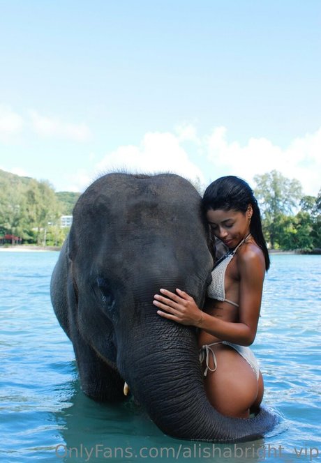 alishabright vip actress pic