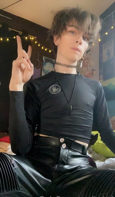 boixd star free picture