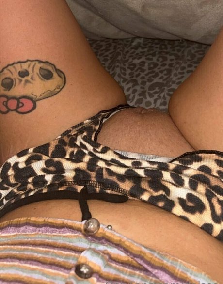 daisea top star image