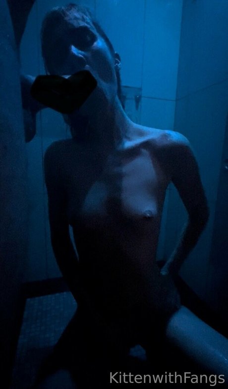 kittenwithfangsfree star art img