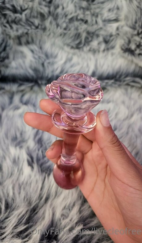 livecleofree star high quality photo