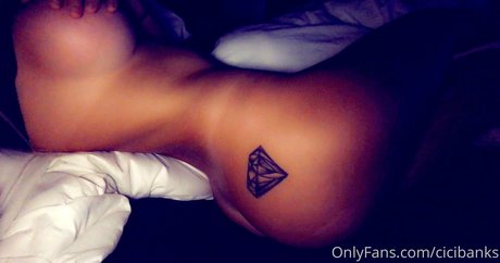 cicibanks nice model archive