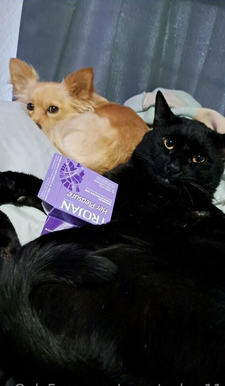 sweetcakes11 model photo