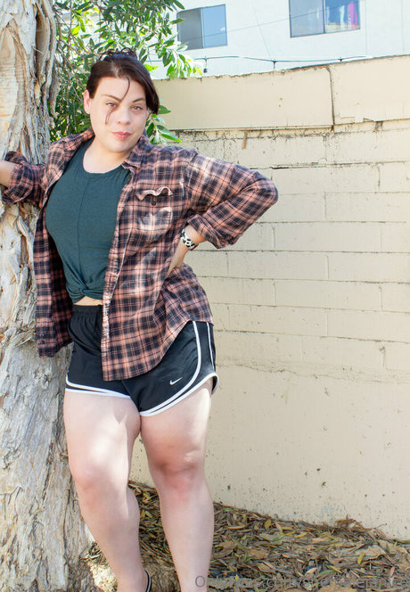 shemalejanice best pornstar galleries