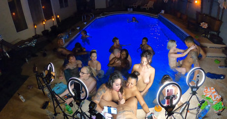 wcaproductions1 star perfect gallery