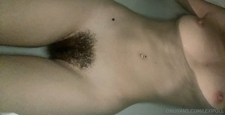 Lexipoll model high quality images