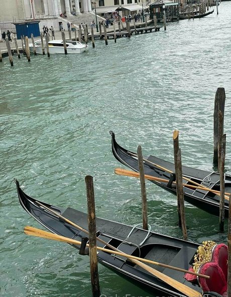 Wetfleur model sexy pics