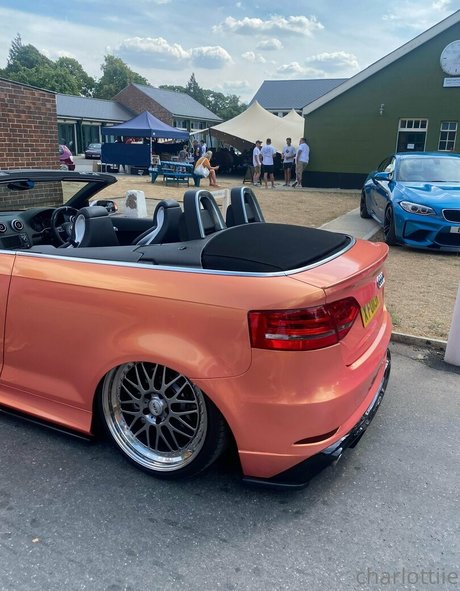 charlottiefree art star img