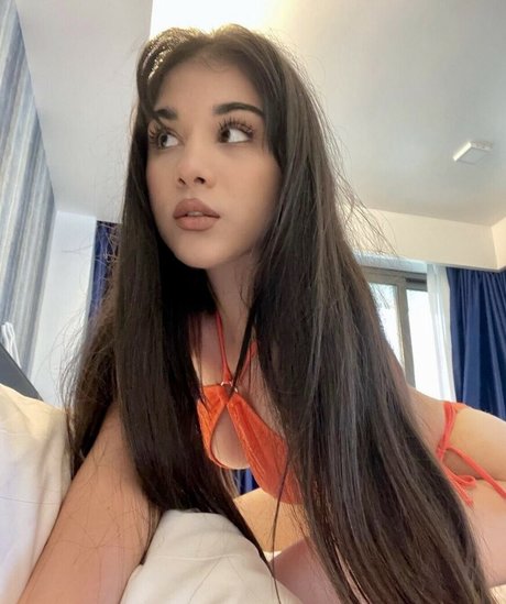 owlida free pornstar galleries