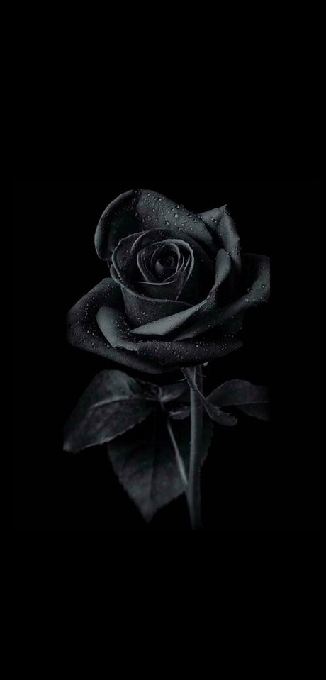 yui xin tw naked actress picture