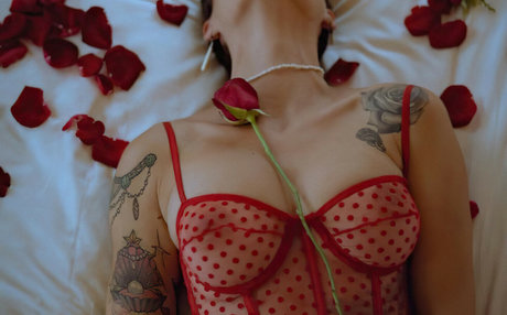 Miss lady bug pornstar nudes photo