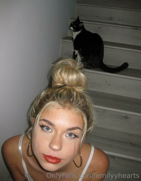 emilyyhearts star pretty image