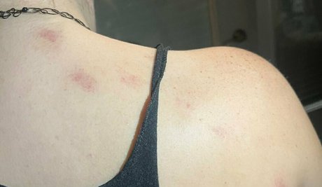 alicexfree perfect model photos