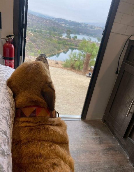 cocovandi model porn pics