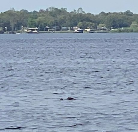 cocovandi Profile pic