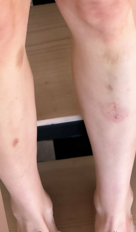 whitney nice model gallery