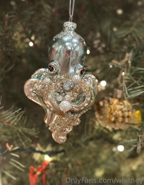 whitney naked model images