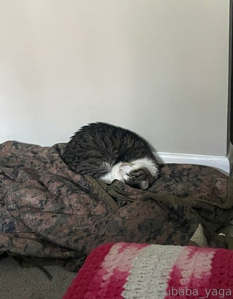 yubaba yaga star hot images