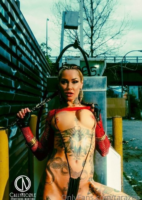 Tarazep beautiful pornstar galleries