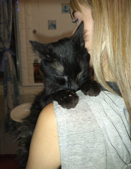 kayciebrowning star adult picture