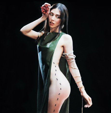 Caroline Polachek art star gallery