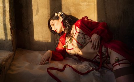 Reilin star best galleries