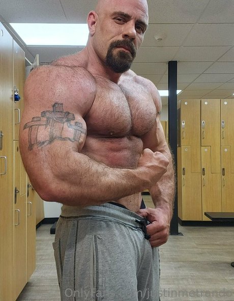 justinmetrando art star image