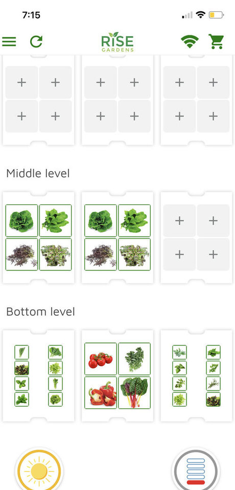 Eatwithmars pornstar pretty img