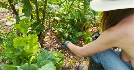 The Naked Gardener free model img