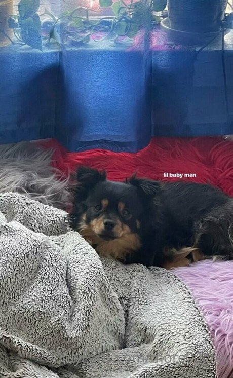 schoolgirl onlyfans porno images