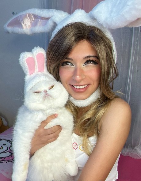 fight onlyfans xxx img