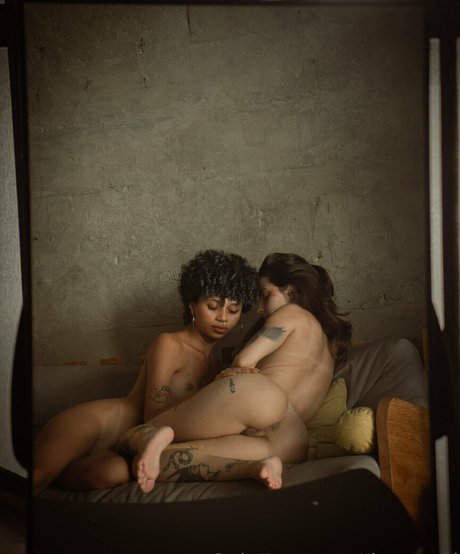 msflat nice model gallery