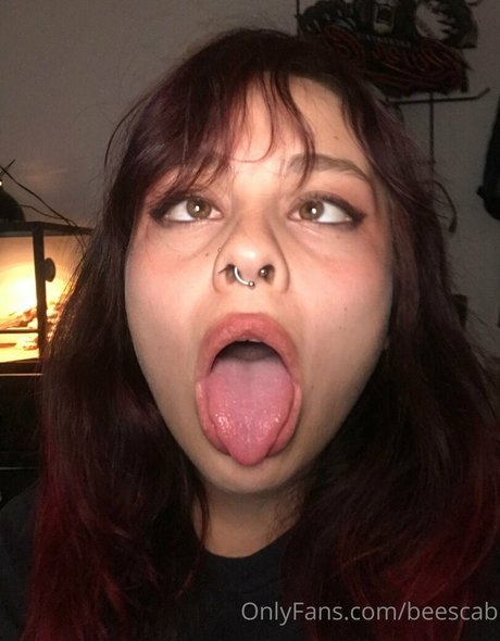 scabbee star adult image