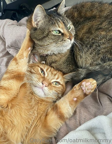 Oatmilkmommy model xxx pics