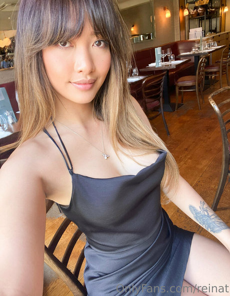 reinat hd model image