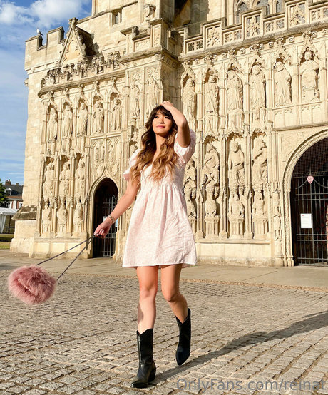 reinat star perfect gallery